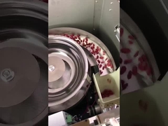 Σημερινός τύπος συσκευαστής κόκκων Πολυλειτουργία για σοκολάτα φασόλια καρύδια σνακ