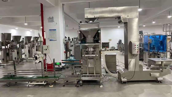 10kg 50kg Auto Multi Packing Machine