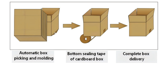 Automatic Carton Packaging Machine Vertical Unboxing Machine With Automatic Forming Bottom Straight Tape Sealing